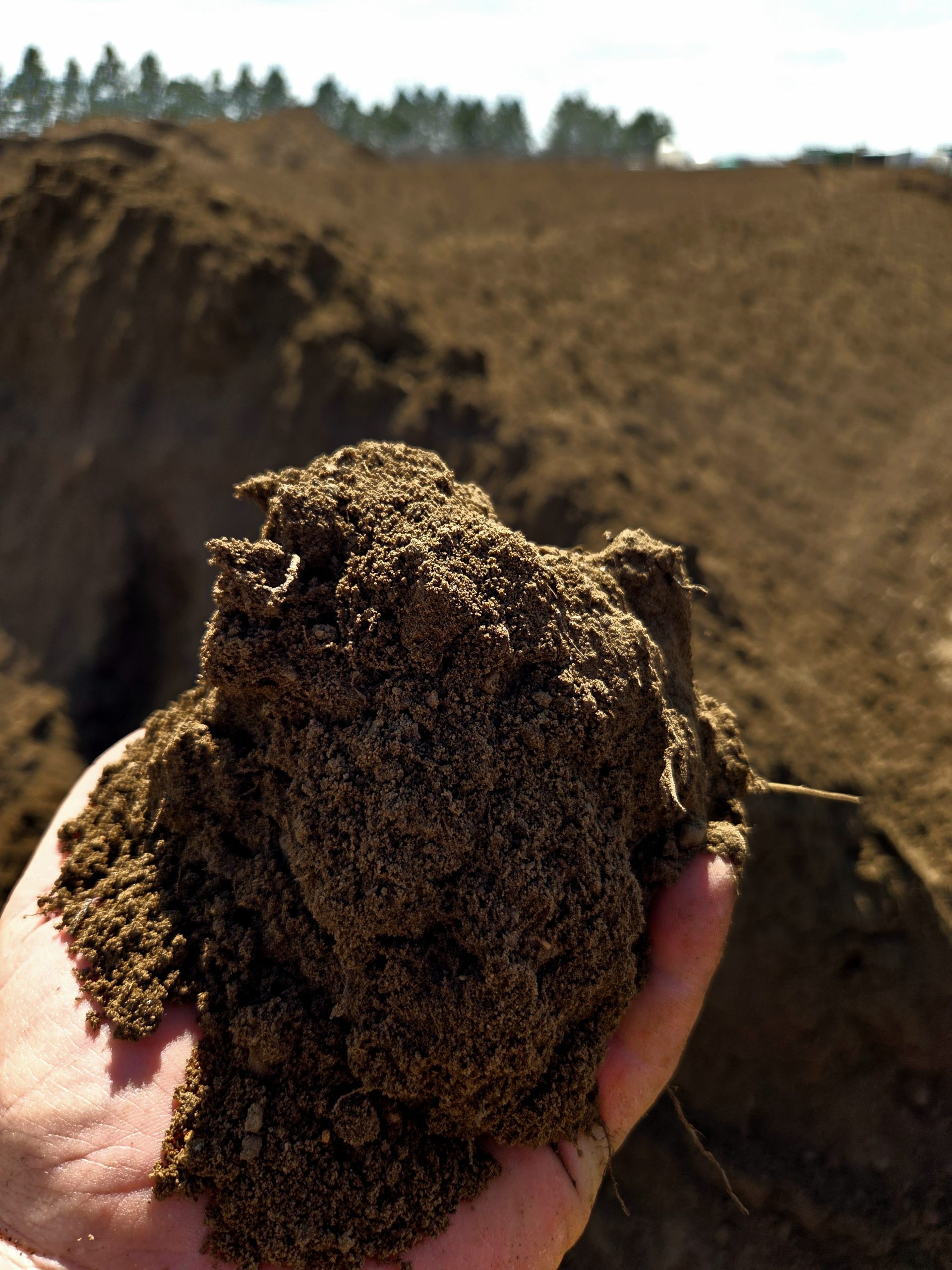BS Compost: Compost Tea Extract
